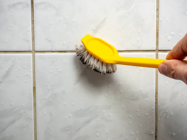 Best Fast Mold Removal  in Williamstown, KY