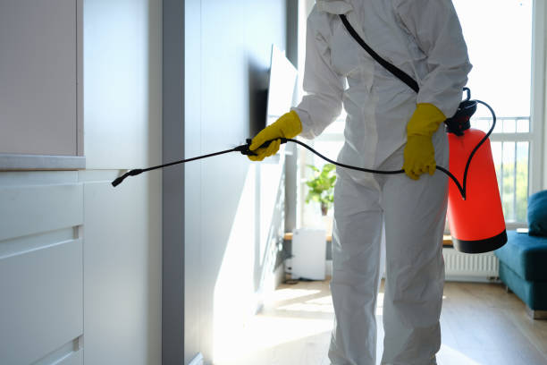 Best Crawl Space Mold Removal  in Williamstown, KY